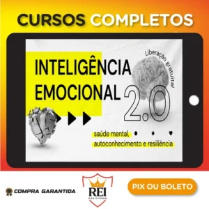 Inteligência Emocional 2.0 - Escola Conquer